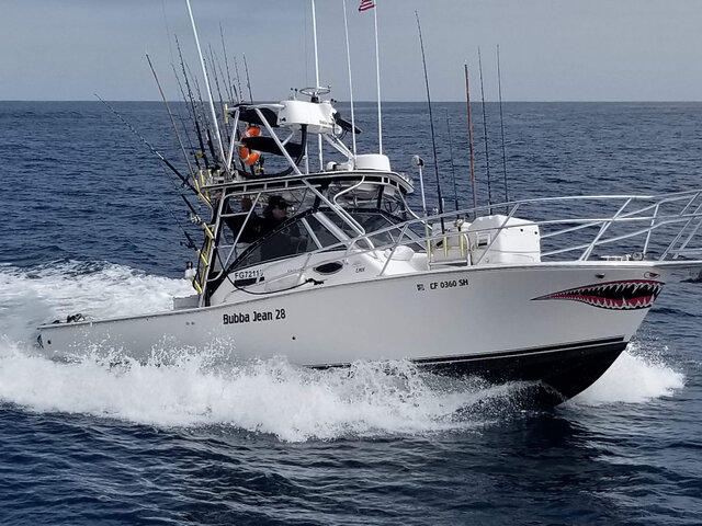 Listing image 497447