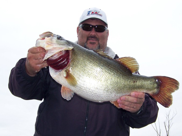 Listing image 509459