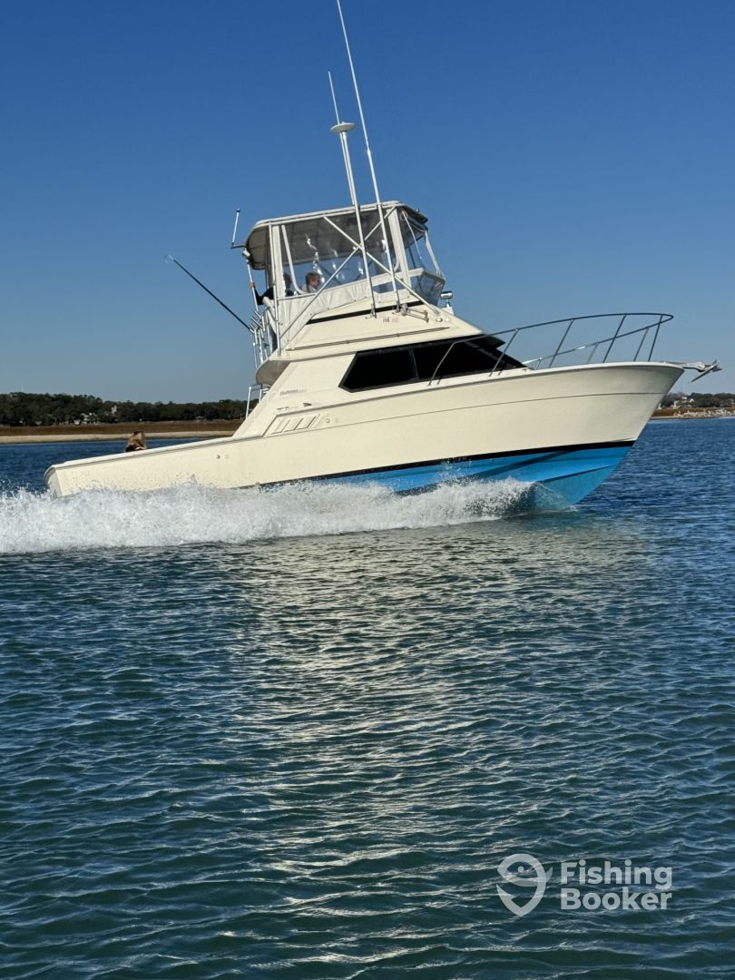 Boat Image