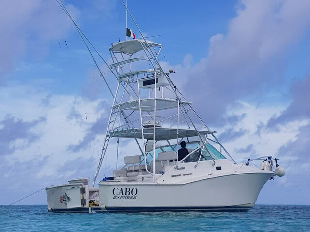 Listing image 505867