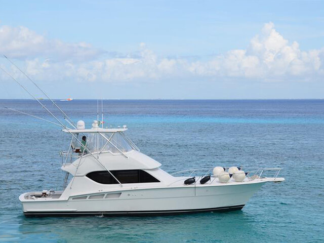 Listing image 505876