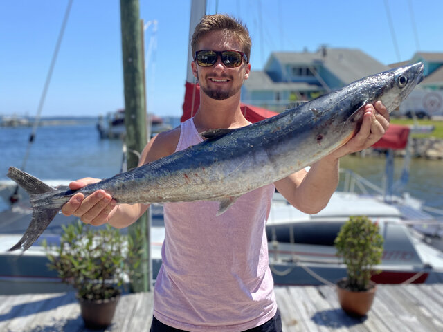 Listing image 555688