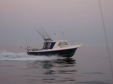 Reel Thrill Sportfishing Charters