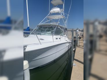 Frisky Reds thumbnail