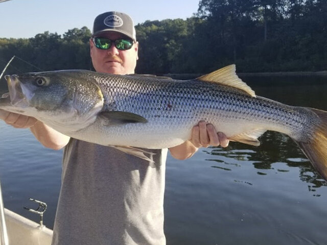 Listing image 506639