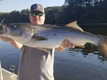 Git R Bent Guide Service LLC