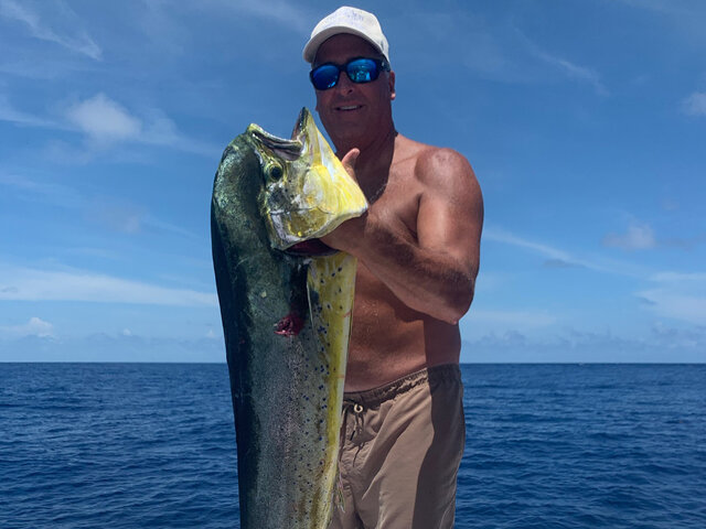 Listing image 515981