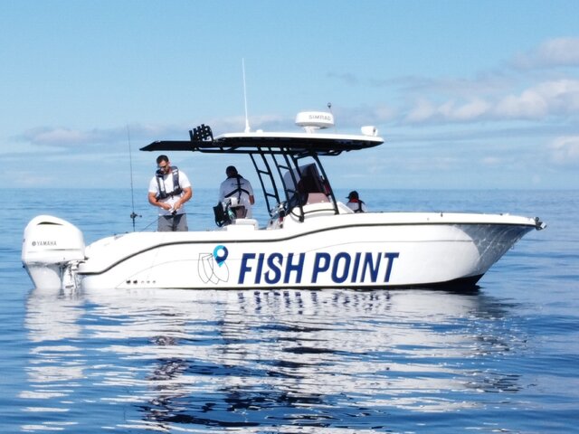 Listing image 666751