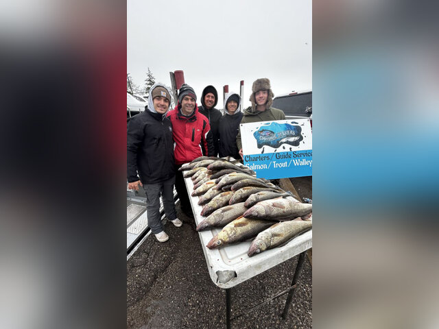 Listing image 1182451