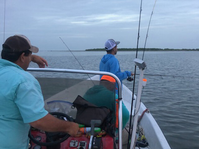 Listing image 510375