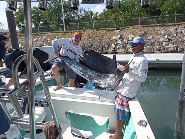 Listing image 954565