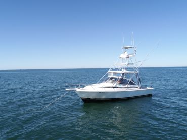 Flying Fish Charters SC thumbnail