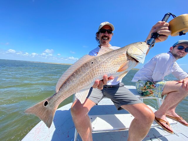 Listing image 664840