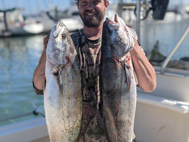 Listing image 513682