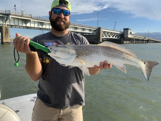 Listing image 519248