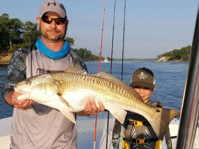 Listing image 530610