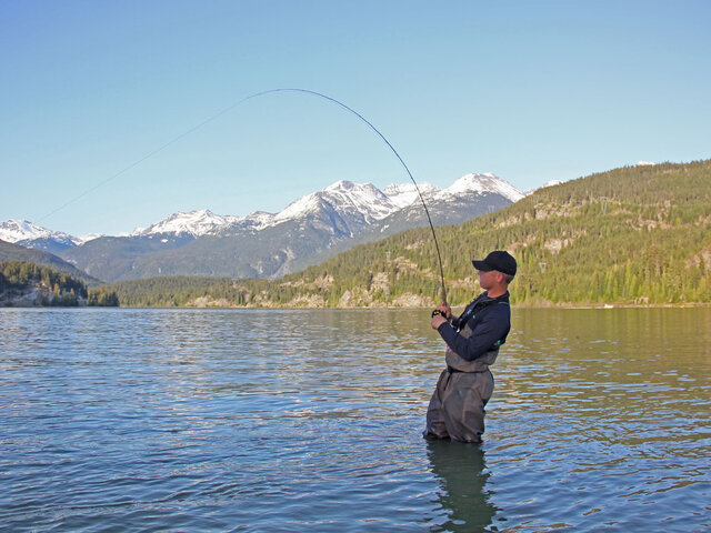 Listing image 524840