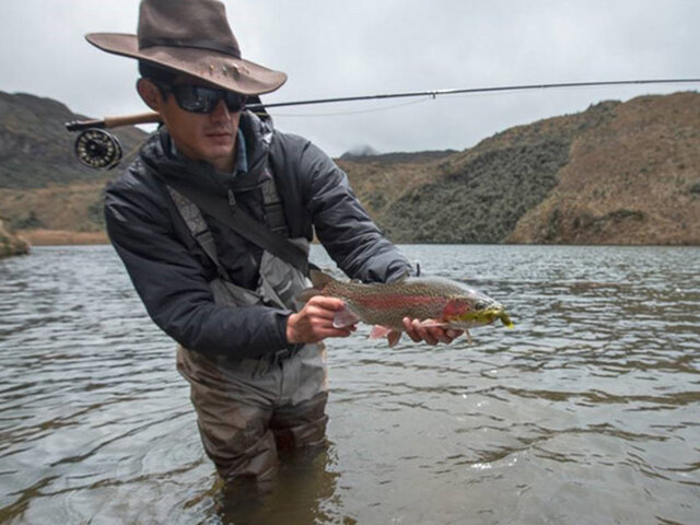 Listing image 522034