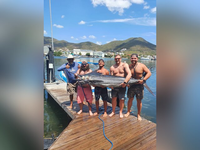 Listing image 565682