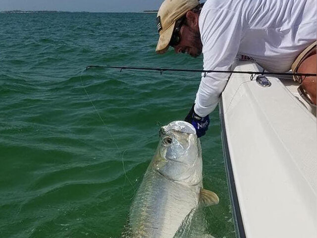 Listing image 526500