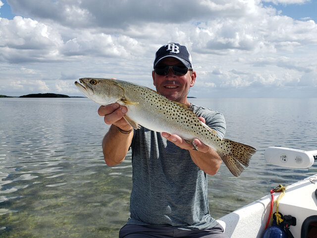 Listing image 525170