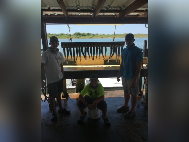 Listing image 530008