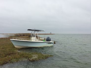 Chesapeake Coastal Charters thumbnail