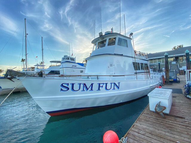 Listing image 526477