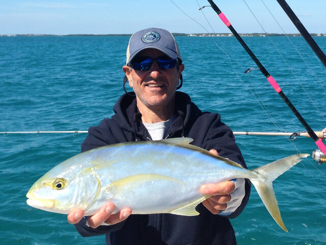 Listing image 532093