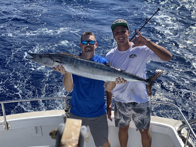 Listing image 531224