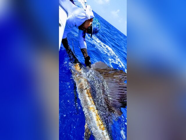 Listing image 526517