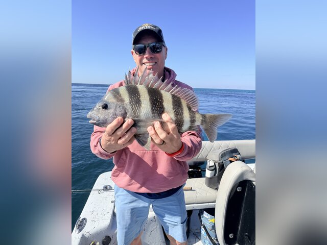 Listing image 1320808