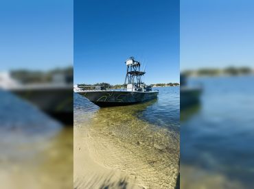 Fish Now PCB thumbnail