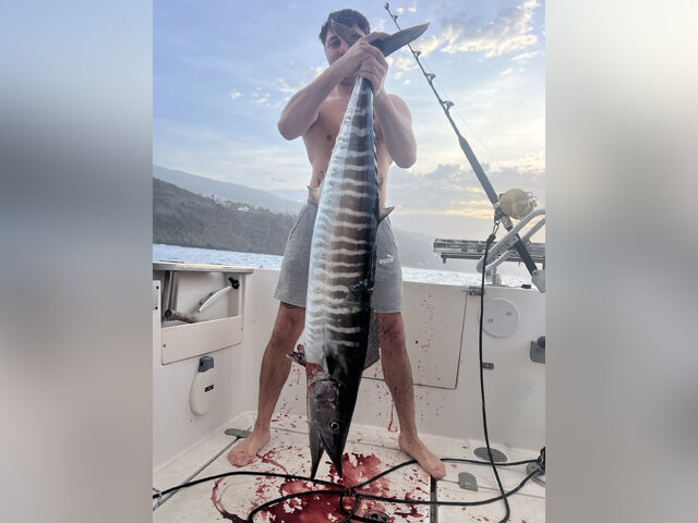 Listing image 1134106