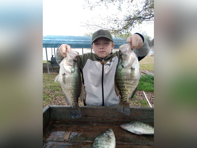 Listing image 837367