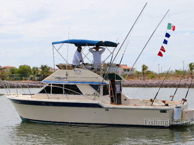 Listing image 429787