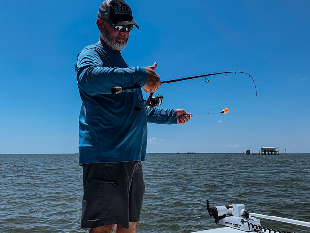 Listing image 582325