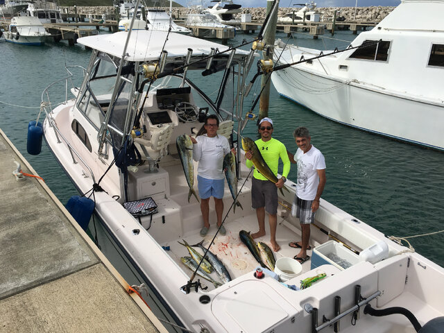 Listing image 531577