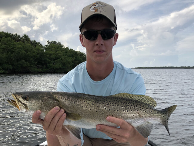 Listing image 533357