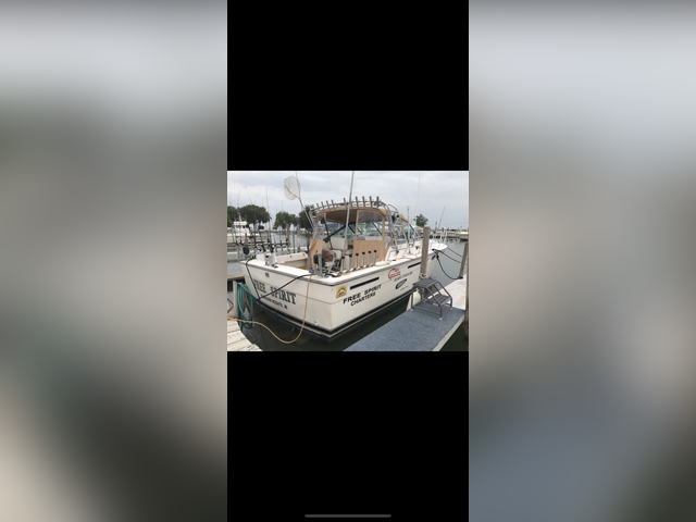 Listing image 532442