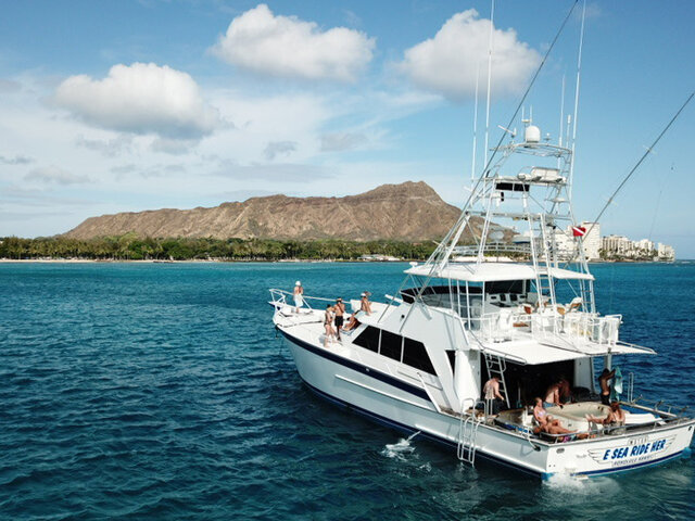 Listing image 534534