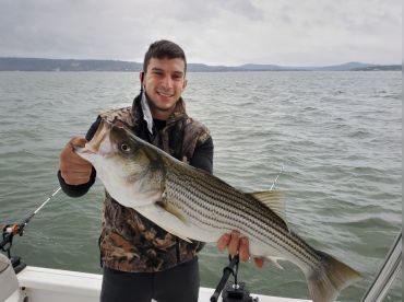 Bosstriper Guide Service