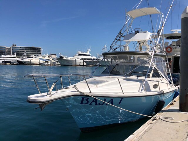 Listing image 1033302