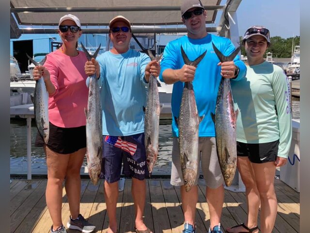 Listing image 601785