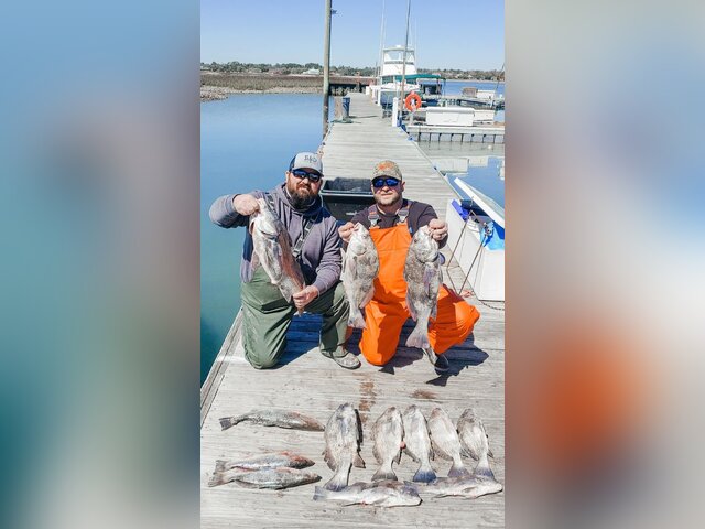 Listing image 681518