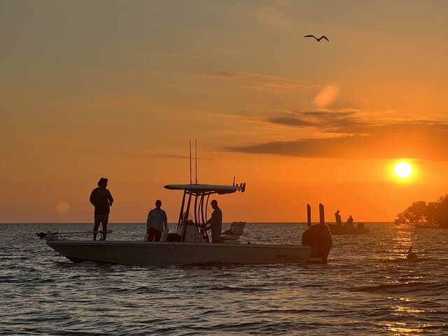 Listing image 798206