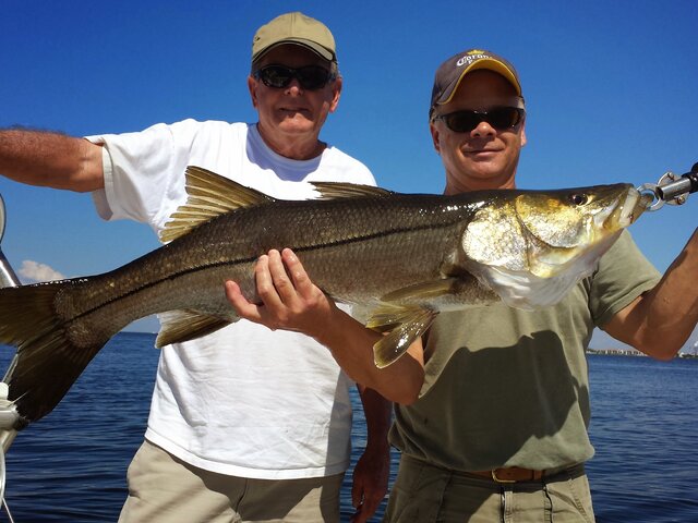 Listing image 542406