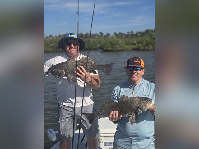 Listing image 1035110