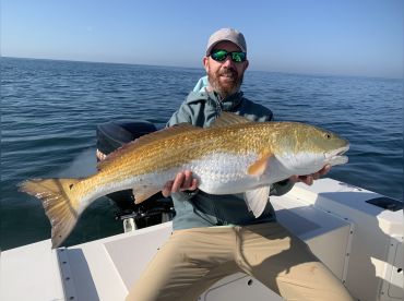 Carolina Rig thumbnail