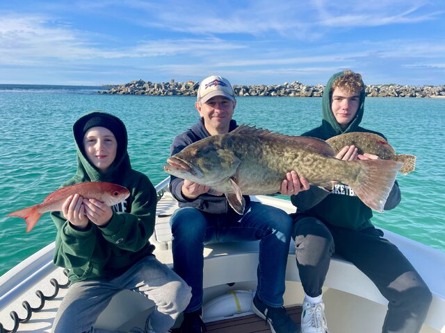 Listing image 851722